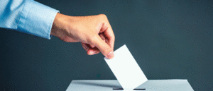 elezioni